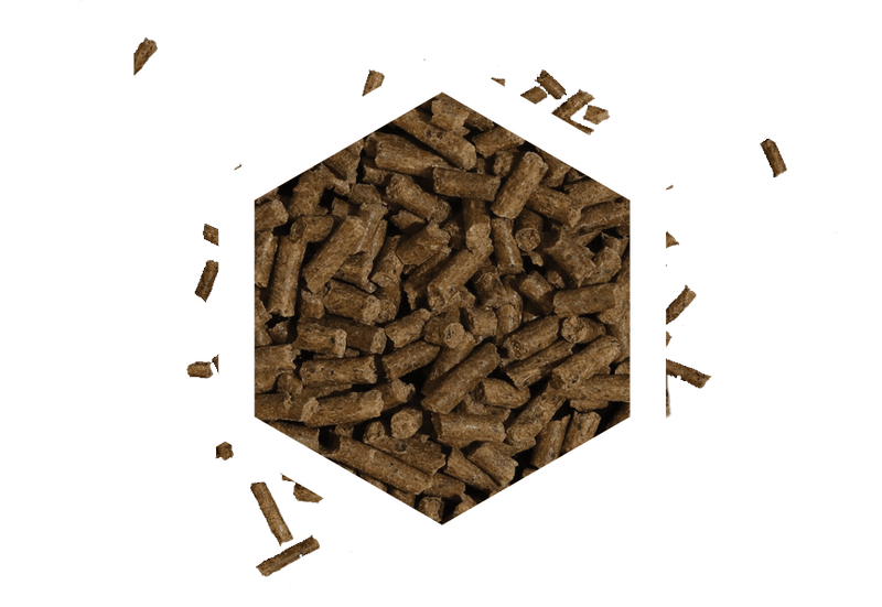 Arcadia Earth Pro AmphibiGold