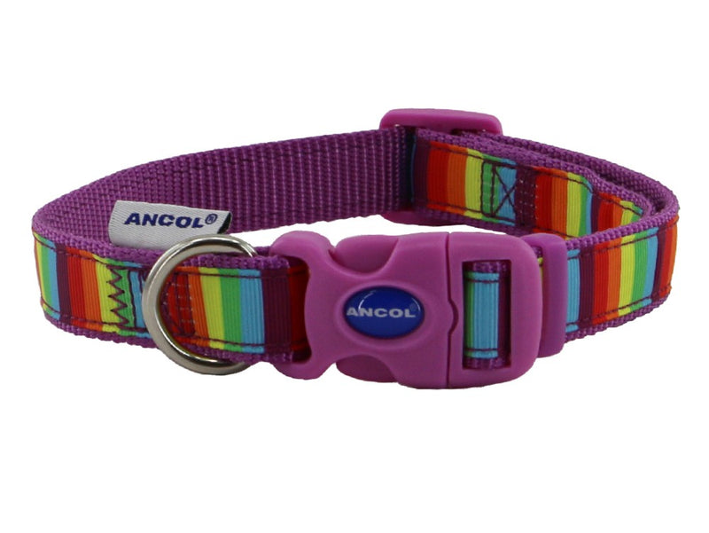 Ancol Soho Rainbow Adjustable Collar Small S1-2 product image