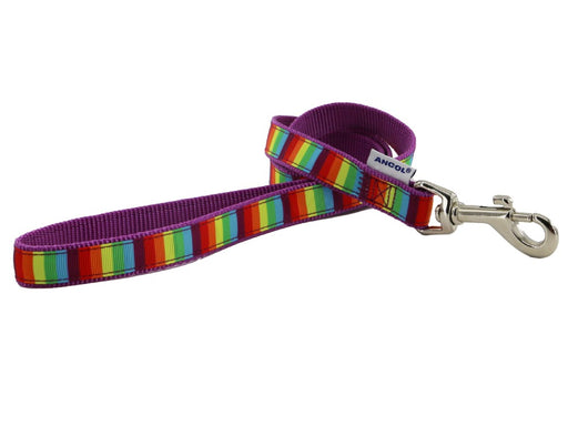 Ancol Soho Rainbow Lead 19mm x 1m product image