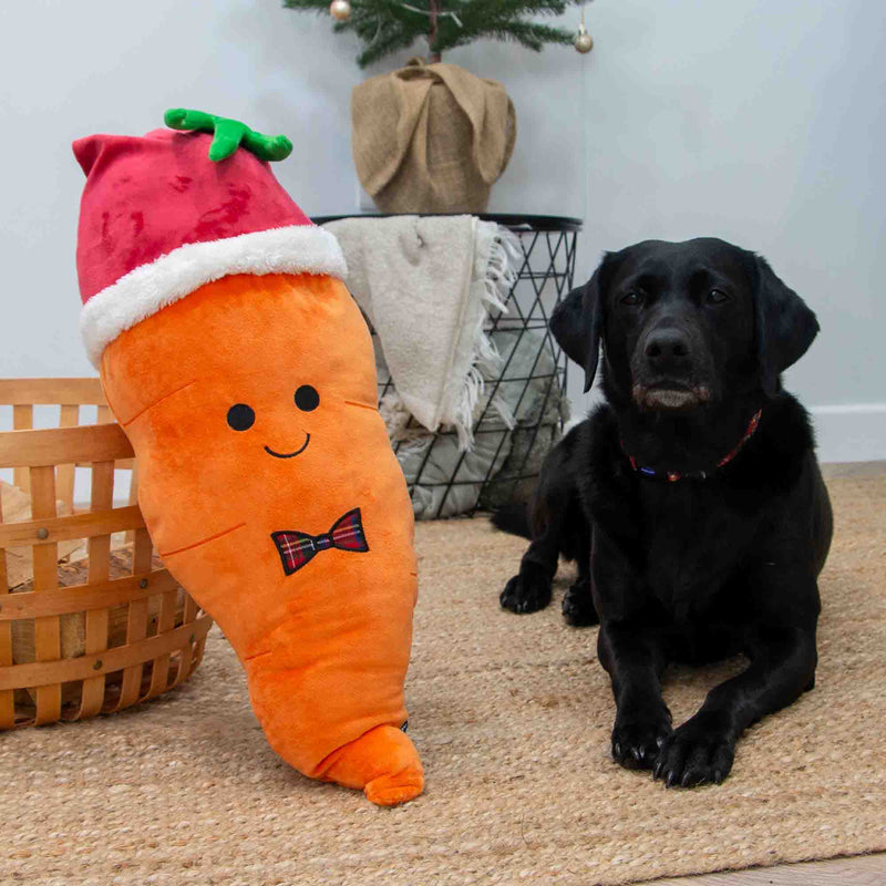 Ancol Giant Karl Carrot Christmas Dog Toy