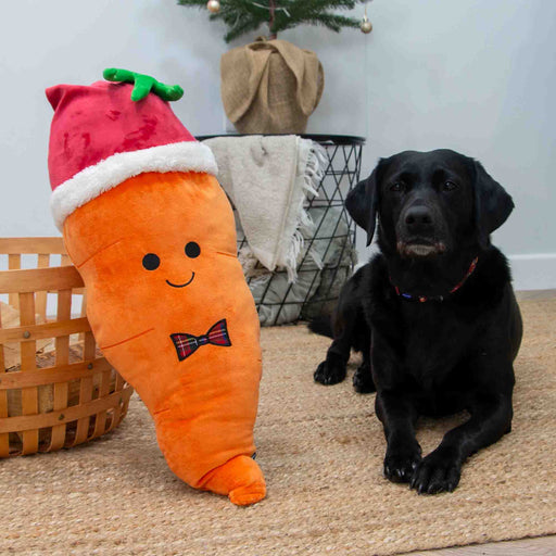 Ancol Giant Karl Carrot Christmas Dog Toy