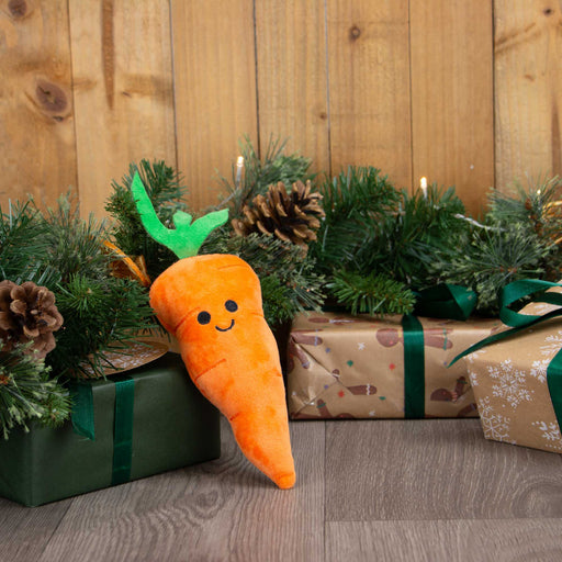 Ancol Mini Katie Carrot Christmas Dog Toy