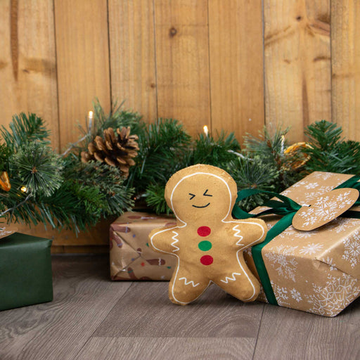 Ancol Georgia Gingerbread Christmas Dog Toy