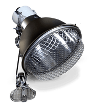 Arcadia Reflector Clamp Lamp With Ceramic Holder 14cm Graphite — official product information