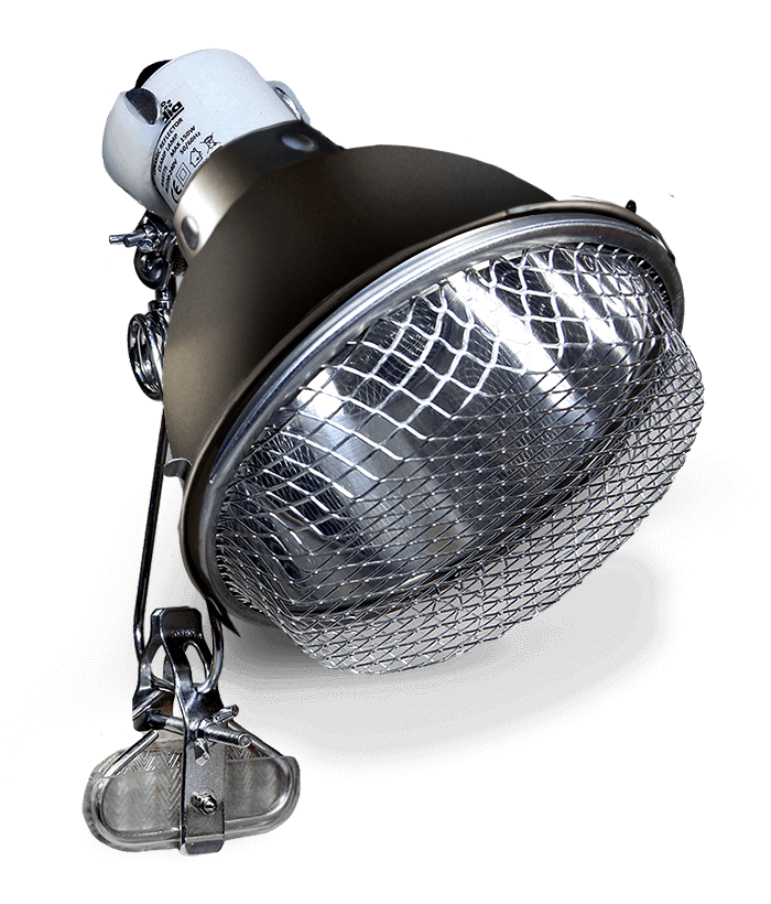 Arcadia Reflector Clamp Lamp With Ceramic Holder 14cm Graphite — official product information