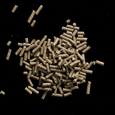 Arcadia Earth Pro Custodian Fuel,80g — official product information