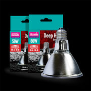 Deep Heat Projector fitted above a basking area