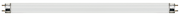 Arcadia T8 fluorescent lamp format