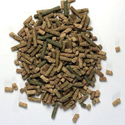 Arcadia Earth Pro Turtle Gold 300g — official product information