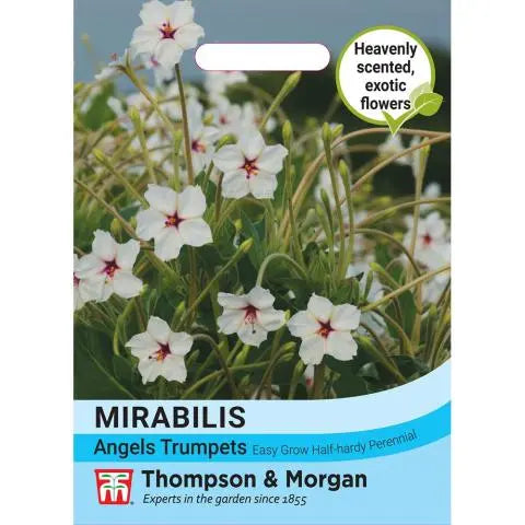Mirablis longiflora Angels Trumpets