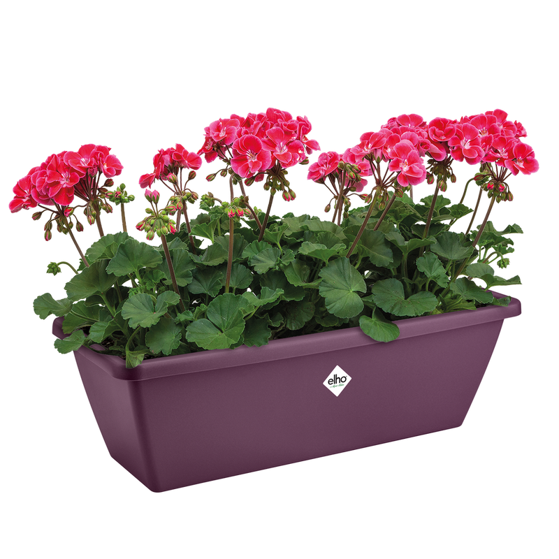 Elho Barcelona Trough range – planted display