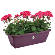 Elho Barcelona Trough range – planted display