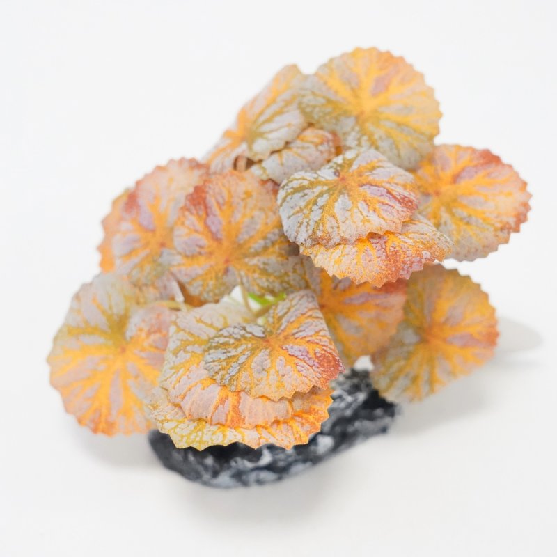 Betta Choice 4" Orange Begonia Plastic Plant