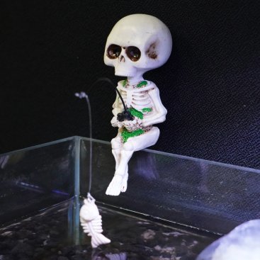 Betta Fishing Skeleton