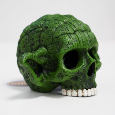 Betta Green Sage Skull