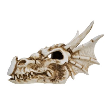 Betta Skull Cave