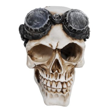 Betta Steampunk-style Skull