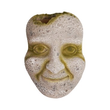 Betta Stone Face