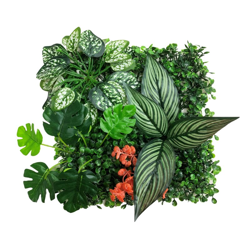 Betta Terra Calathea Garden Mat 25x25cm