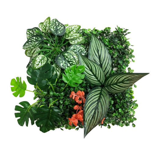 Betta Terra Calathea Garden Mat 25x25cm