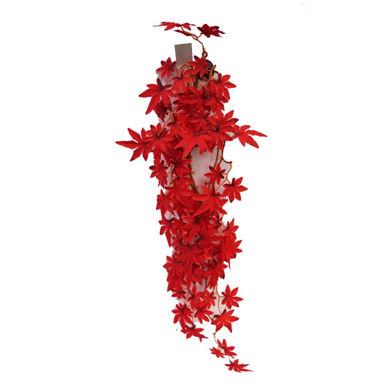 Betta Terra Red Star Vine 70cm