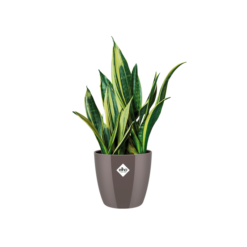 Elho Brussels Diamond Round range – planted display