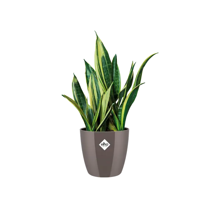 Elho Brussels Diamond Round Oyster Pearl 18cm