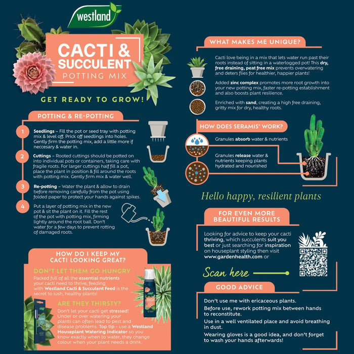 Westland Cacti & Succulent Potting Mix 4 Litre