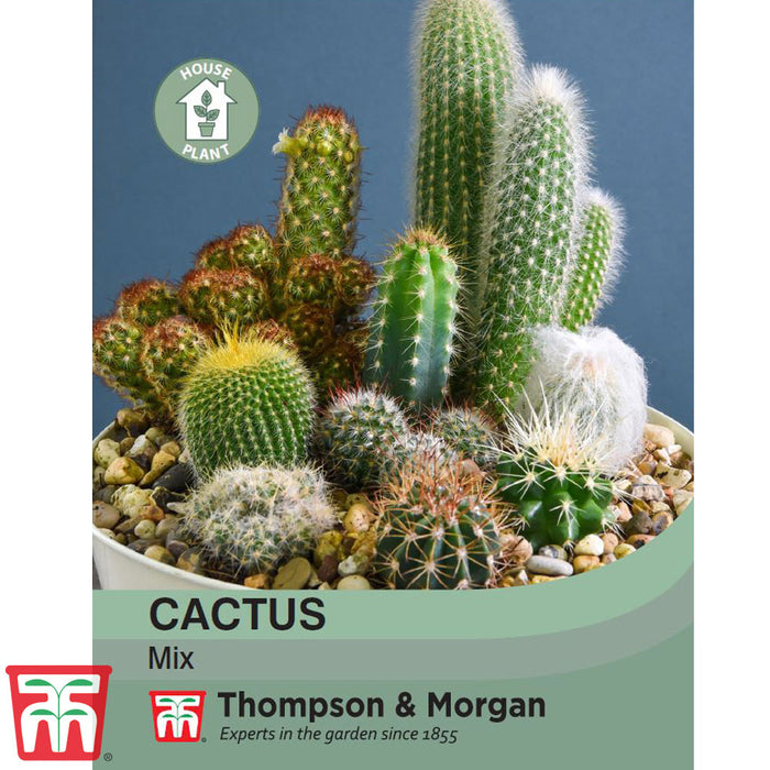 Cactus Mix