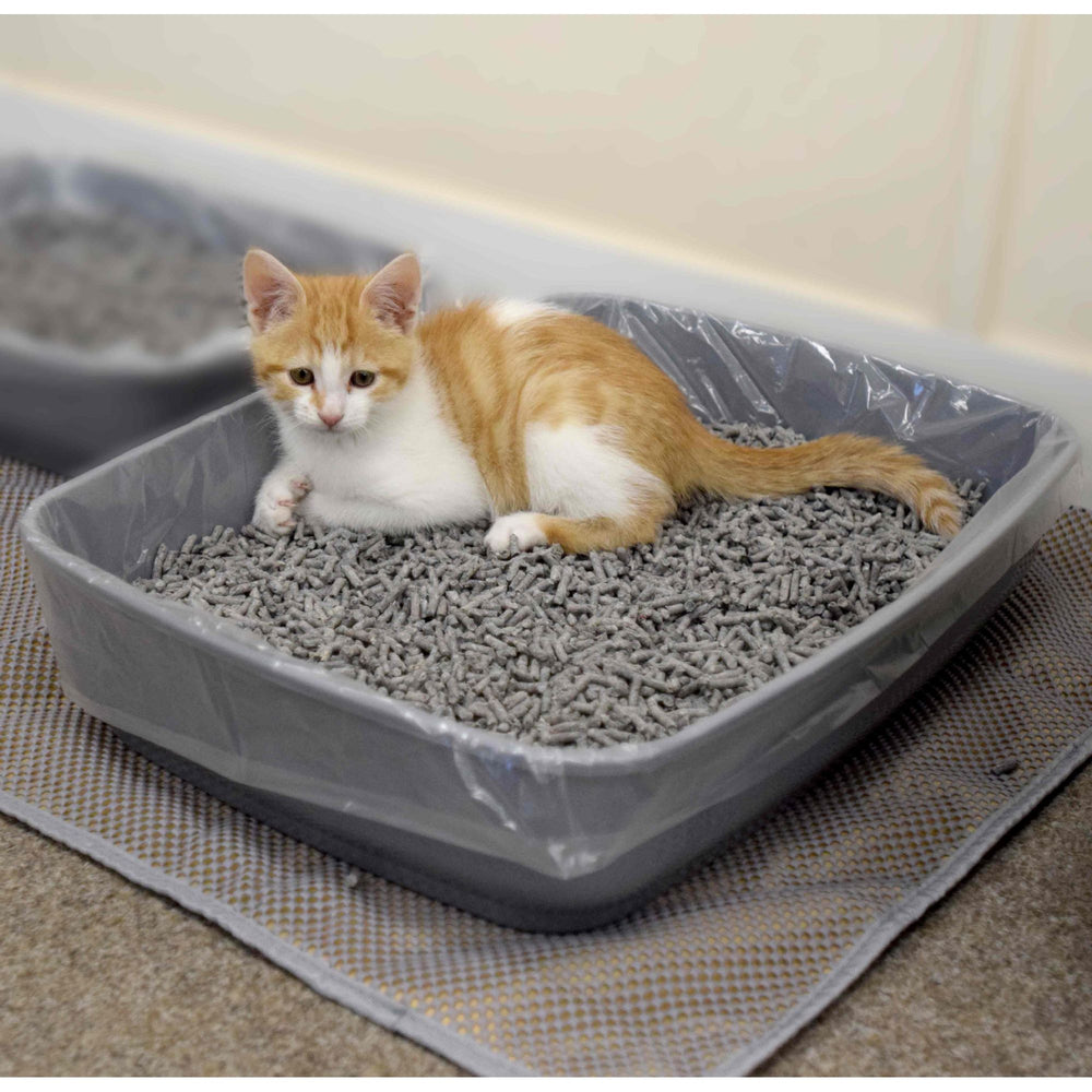 Cat Litter & Trays