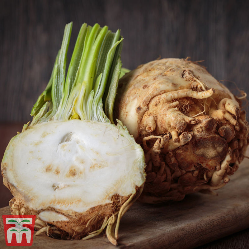Celeriac 'Mars'