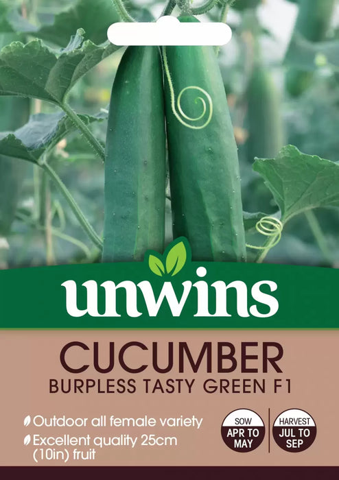 Cucumber Burpless Tasty Green