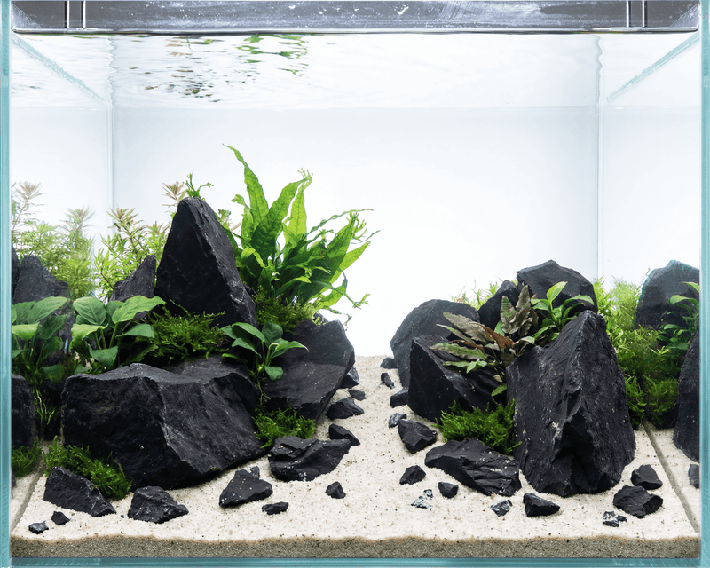 Dark Hill Rock 0.8–1.2kg