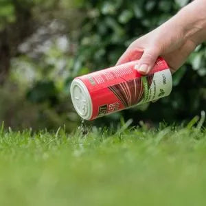 Deadfast Ant Killer Plus Powder (150g)