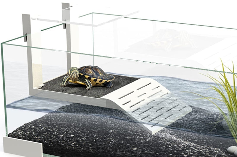 Ciano White Tartarium 80 Terrapin Glass Tank 80 × 30 × 24.5cm
