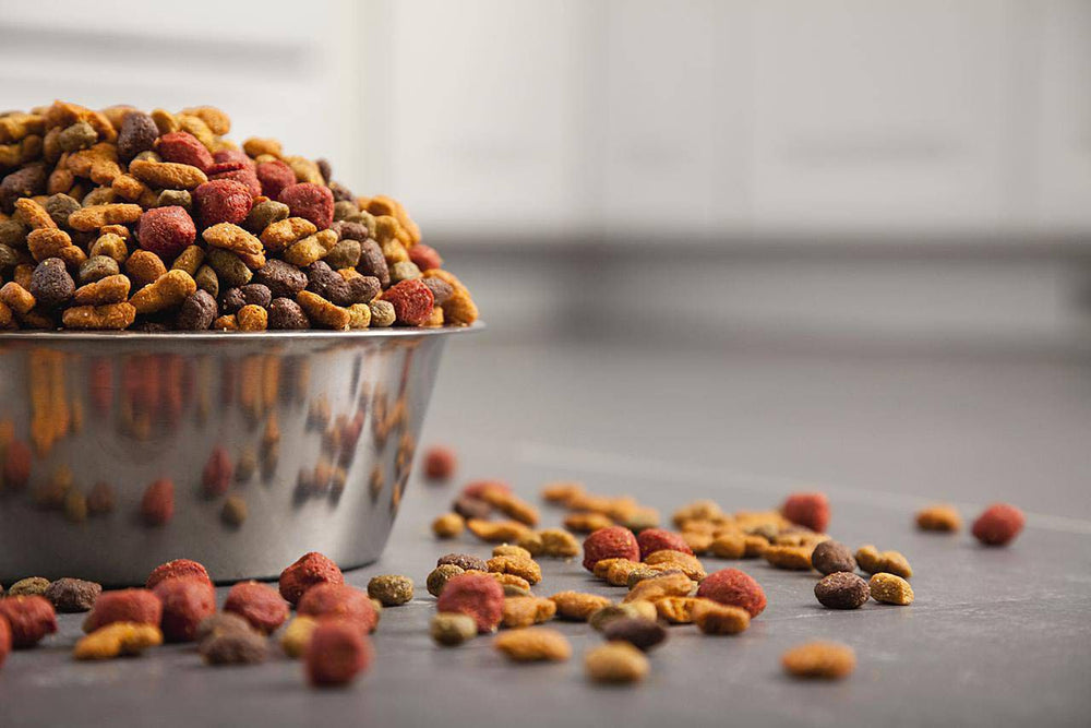 Dog Food
