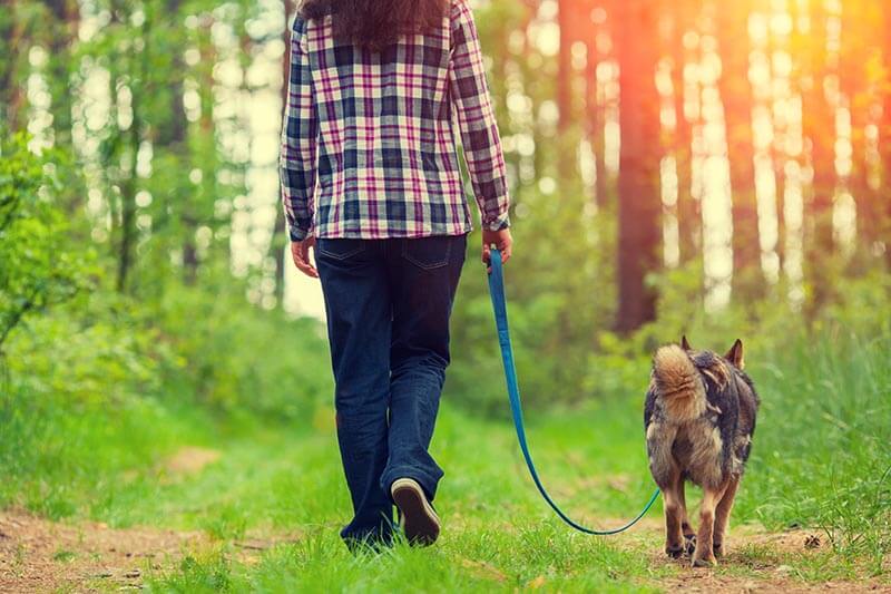 Walking & Outdoor