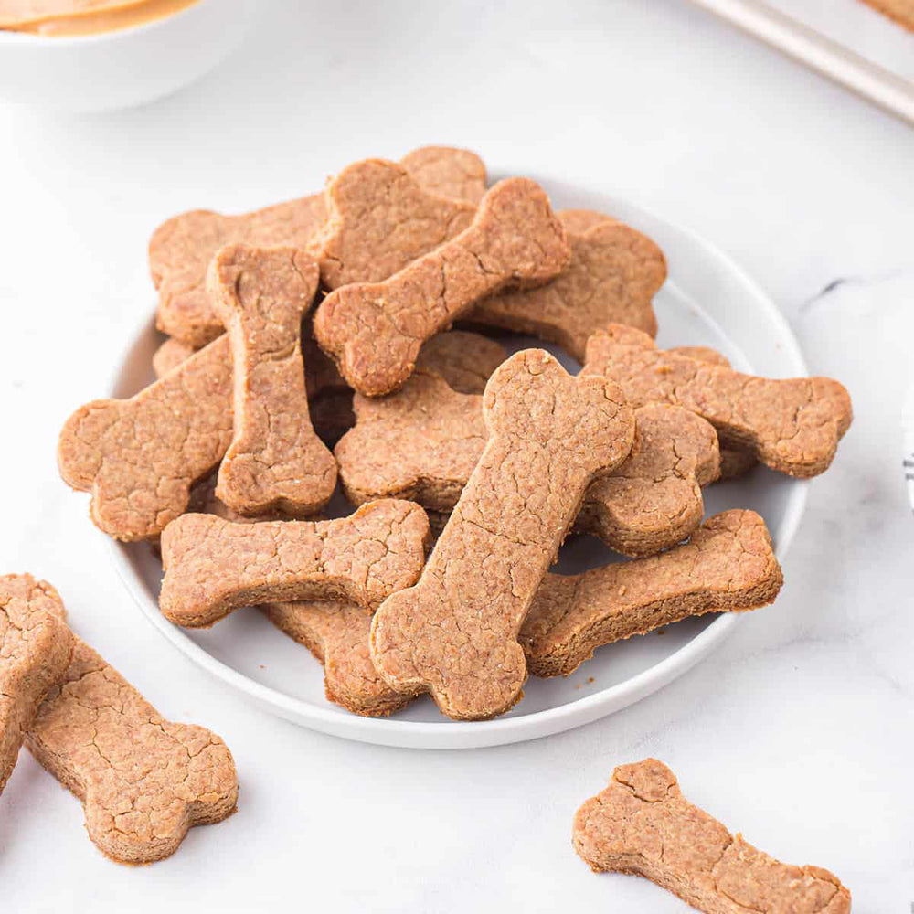 Dog Treats & Chews