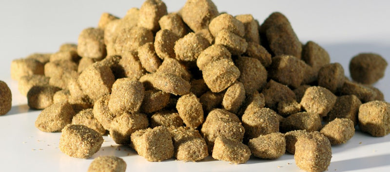 Burns Sensitve with Chicken (6kg)