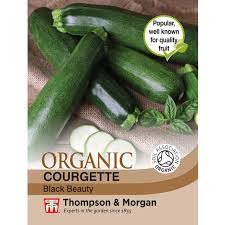 Courgette Black Beauty Organic