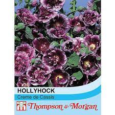Hollyhock Crème de Cassis
