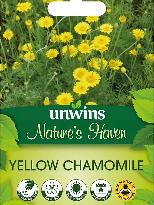 Natures Haven Yellow Chamomile