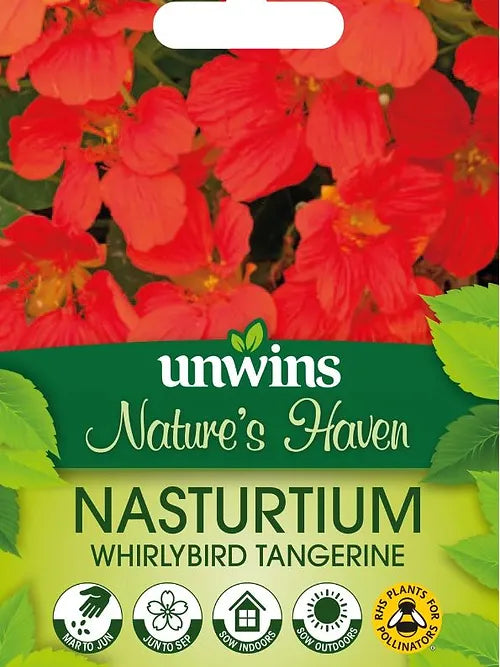 Natures Haven Nasturtium Whirlybird Tangerine
