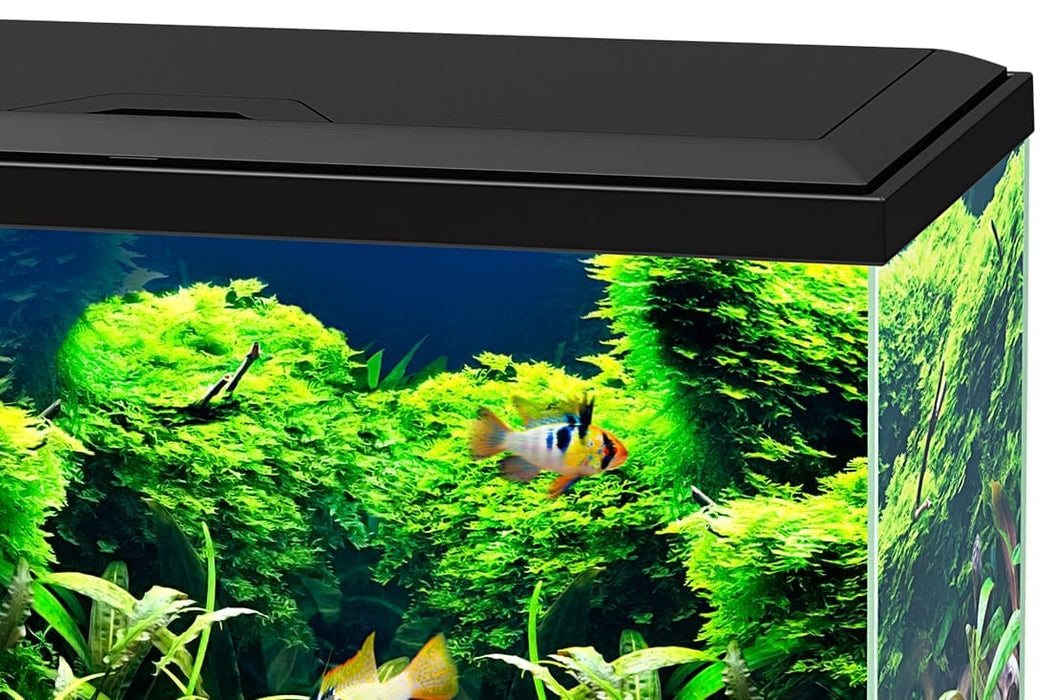 Ciano Aquarium Aqua 60 With Lights & Black Lid (60cm x 30cm x 33.5cm With CFBIO 58 Litre 80 Filter)