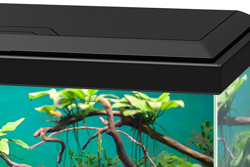 Ciano Aqua 20 Classic Black With Filter (17 Litre)