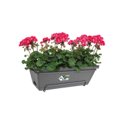 Elho Barcelona All-In-One 50cm Anthracite – planted display