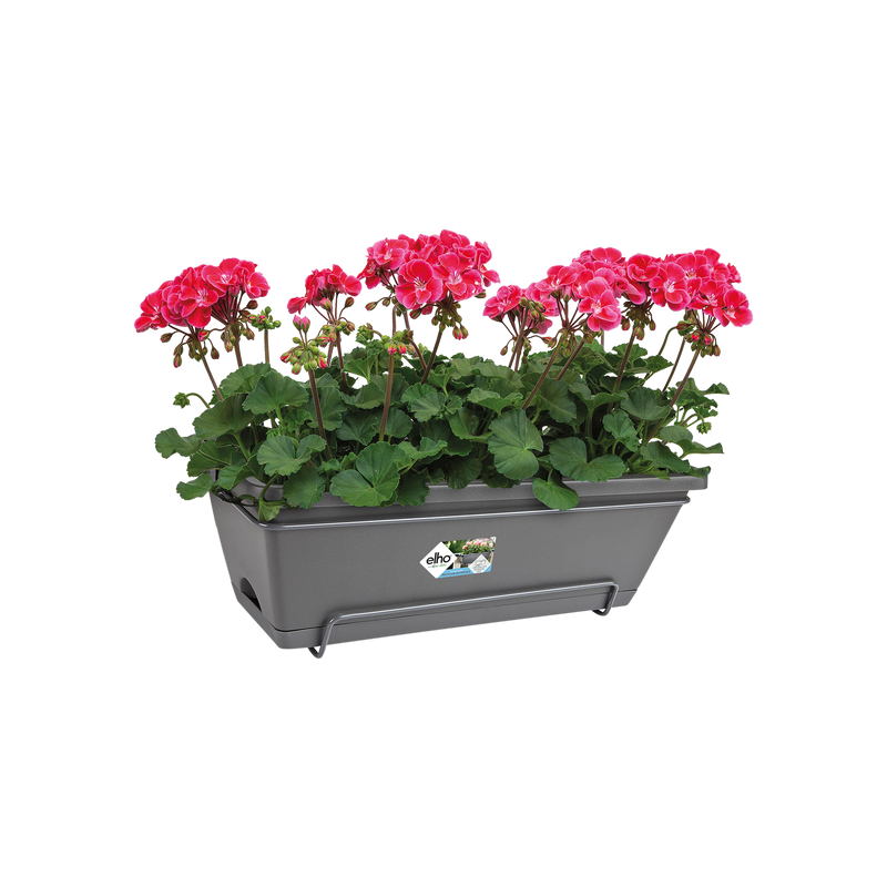 Elho Barcelona All-In-One 50cm Anthracite – planted display