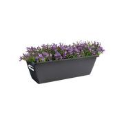 Elho Barcelona Trough range – planted display