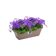 Elho Barcelona Trough range – planted display