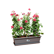 Elho Barcelona Xl range – planted display